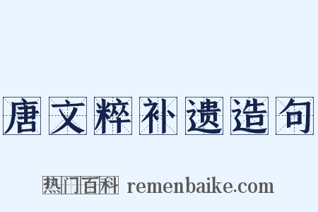 唐文粹补遗造句是什么意思的图片